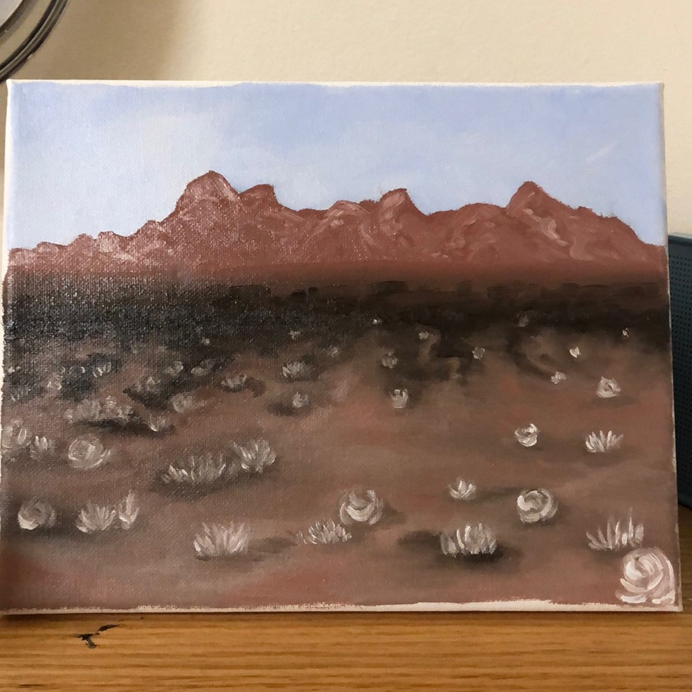 Desert Oil Painting (by me)